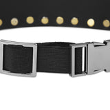 VERA STUD